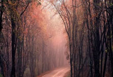 拒绝爆冷！张本智和2-0领先遭吉村真晴追平 好在决胜局2分制胜.