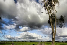 AG米兰体育:南京室内田径世锦赛:吴艳妮破全国纪录2025-03-24.