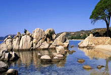 [德甲]第15轮：拜仁慕尼黑VS莱比锡.